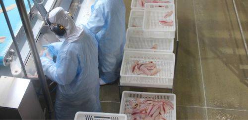 Rastreabilidade EUA, sinalização FDA e por que setor deve se antecipar Rastreabilidade EUA, sinalização FDA e por que setor deve se antecipar