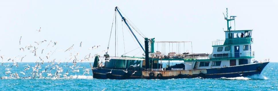 China abre mercado para pesca brasileira artesanal e industrial 