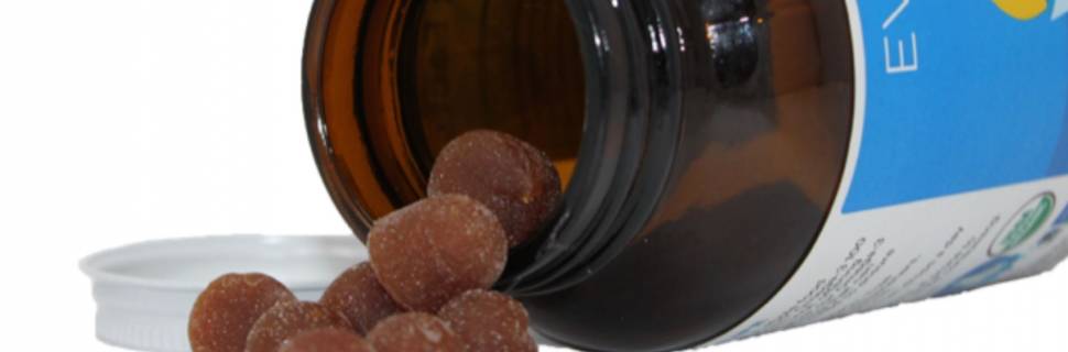 Solarvest anuncia chegada ao Brasil do Ômega-3 Orgânico Eversea