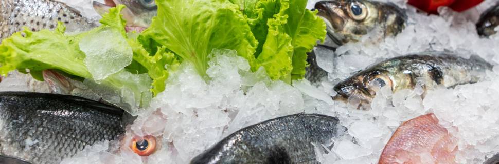 Quaresma e Semana Santa abrem alas para a recuperação