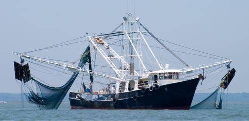 De sonares a softwares: a tecnologia a bordo das embarcações nacionais De sonares a softwares: a tecnologia a bordo das embarcações nacionais