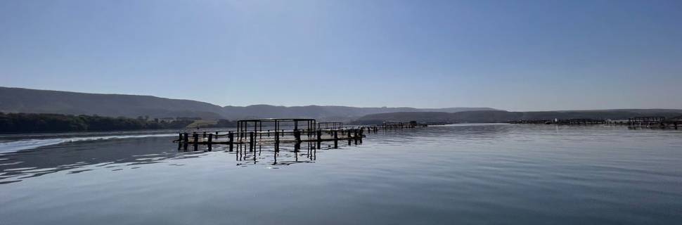 Nova certificação deve impulsionar exportações da Fider Pescado 