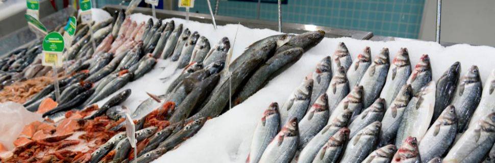 Sou consumidor, estou na gôndola e é Páscoa: como escolher meu peixe?