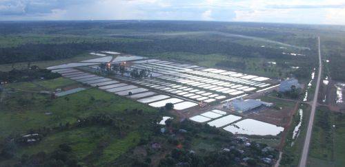 IBGE e Embrapa firmam acordo que aprimora estatísticas na aquicultura