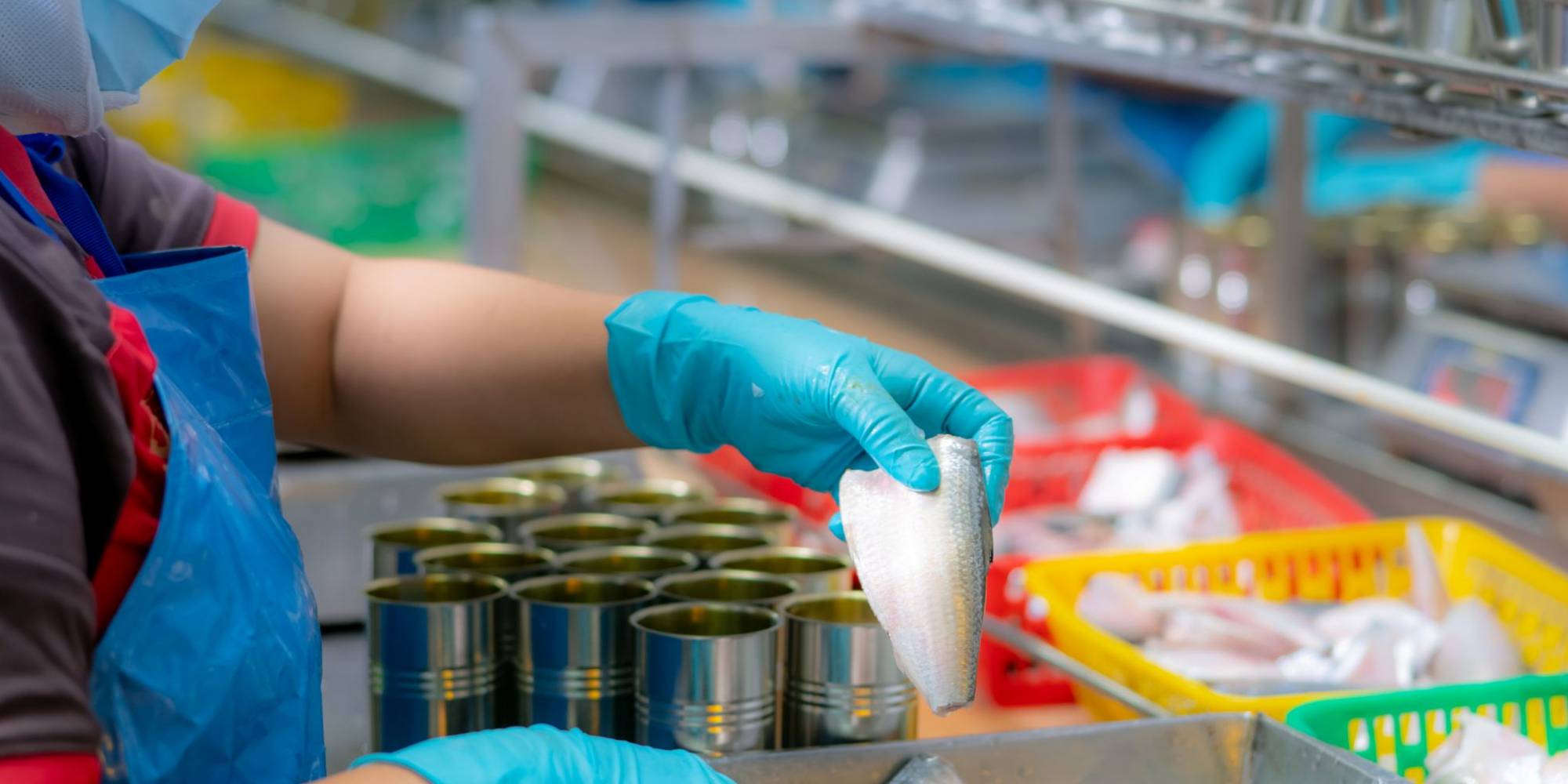 É possível uma pequena empresa ter a certificação ISO?