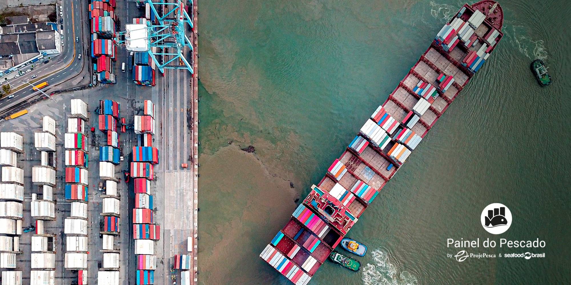 Veja como foi a Balança Comercial do pescado em 2022