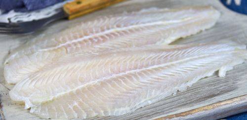 Primeiro frigorífico de panga das Américas é inaugurado no Brasil