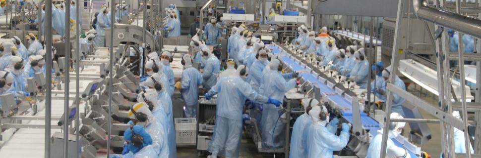 Atualização no Manual de Fiscalização das PJC: o que mudou?