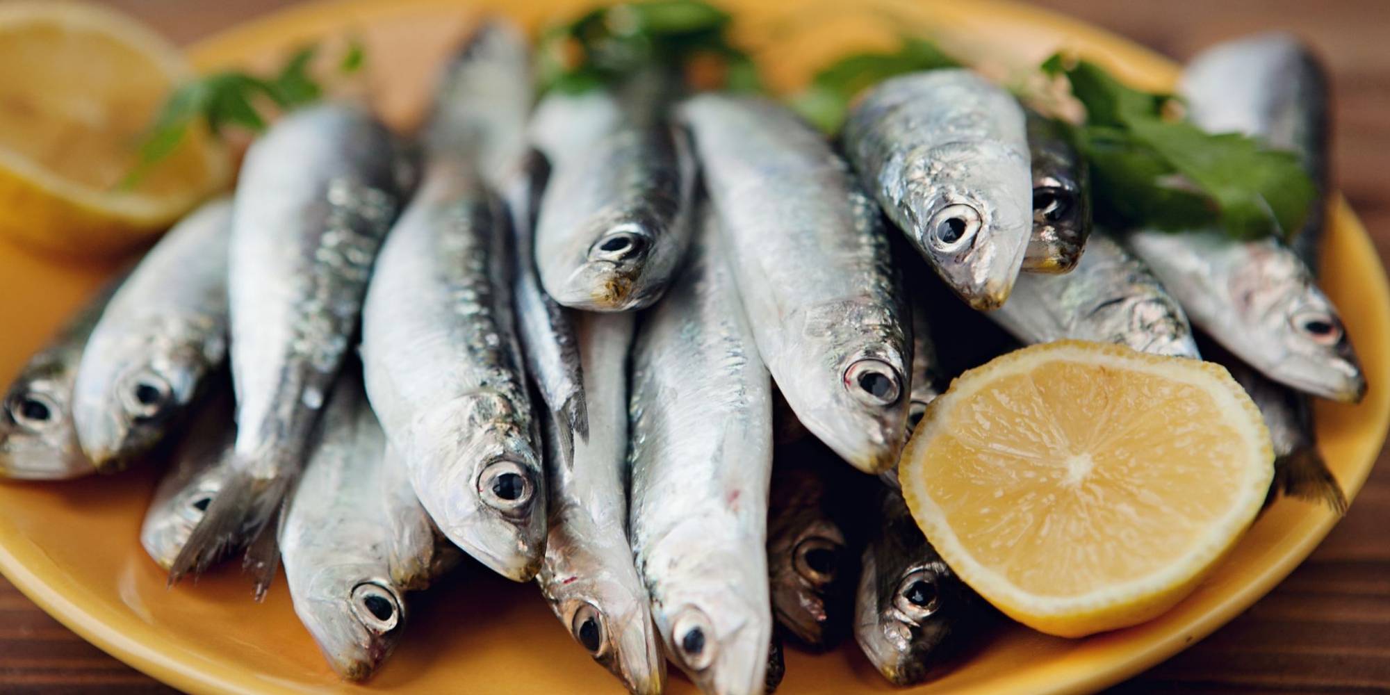 Pescado: Retomada e olhar inovador para fisgar oportunidades Pescado: Retomada e olhar inovador para fisgar oportunidades