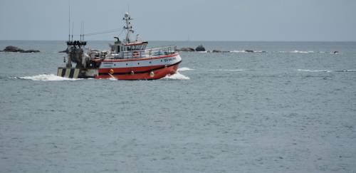 Associações pedem à SAP que prorrogue ou cancele a Portaria nº310/2020