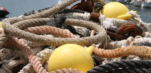 Sindipi tenta alteração de PL que proíbe pesca de arrasto 