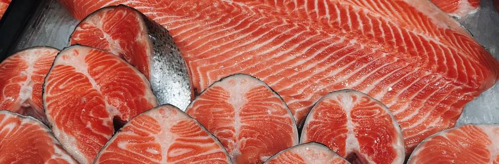 >Salmão e Truta lideram importação de pescado brasileiro até fevereiro Salmão e Truta lideram importação de pescado brasileiro até fevereiro