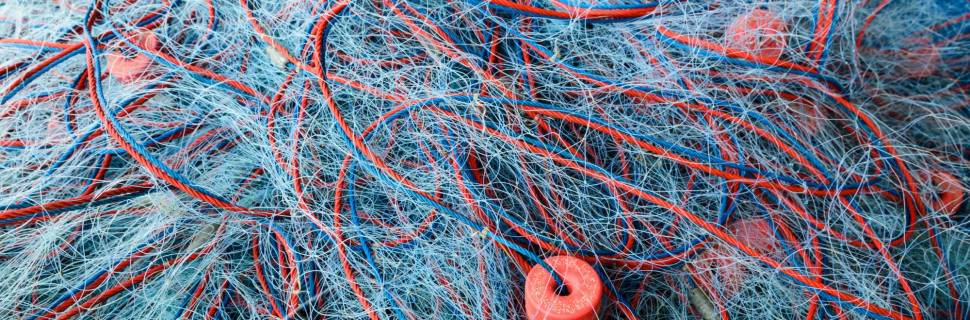 Portaria define cota de tainha 2023 e proíbe captura industrial 