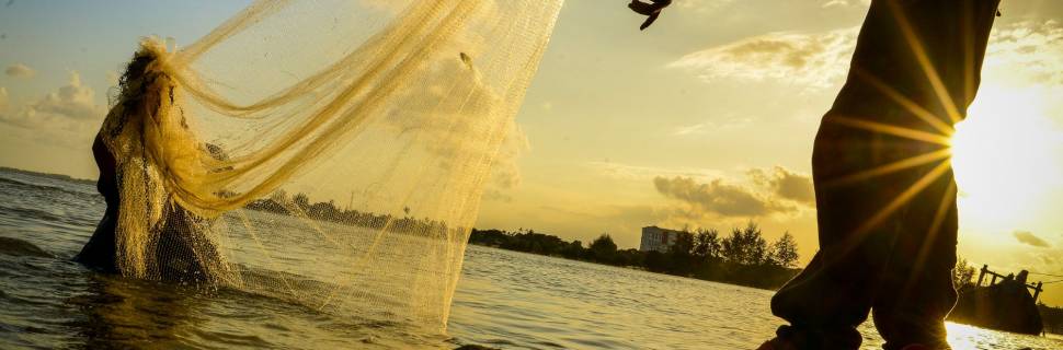 >MPA nomeia novos secretários e diretores MPA nomeia novos secretários e diretores