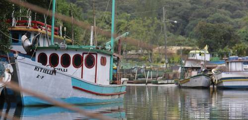Oceana: pescadores comemoram suspensão de arrasto no RS