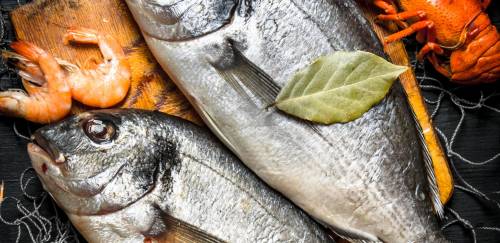 Governo publica decreto que recria Conape