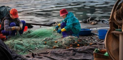 Mulheres recebem menos na produção alimentícia, pesca e aquicultura