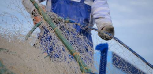 Pesca sustentável: com a ciência a bordo, só falta a vontade política Pesca sustentável: com a ciência a bordo, só falta a vontade política