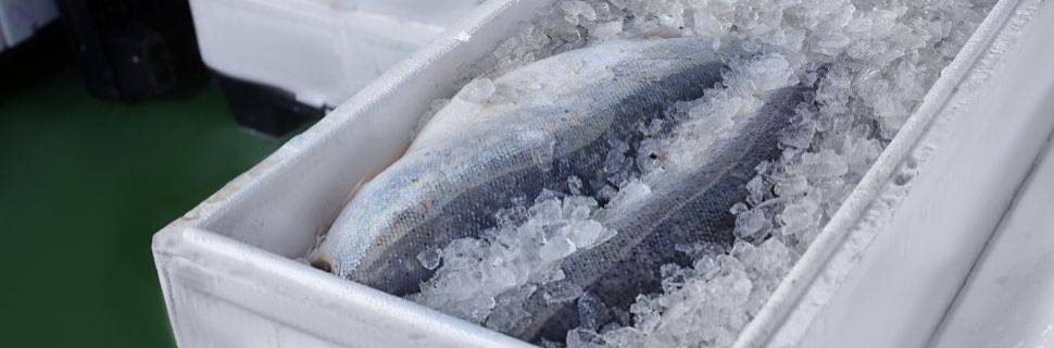 >Portaria para registro de empresas pesqueiras é publicada Portaria para registro de empresas pesqueiras é publicada