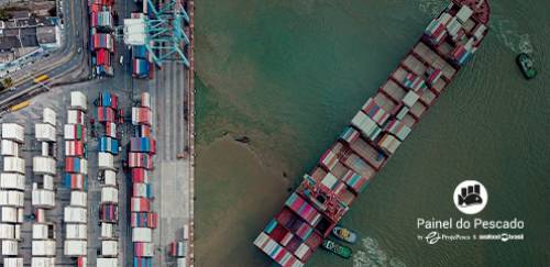 Veja como foi a Balança Comercial do pescado em 2022 Veja como foi a Balança Comercial do pescado em 2022