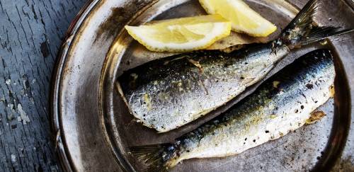 Selo Arte do Pescado deverá levar produtos a todo País 