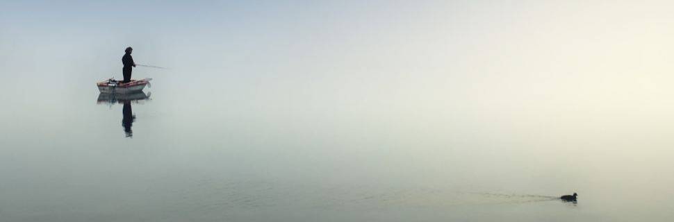 O eco das nossas ações: é hora de repensar o comportamento humano