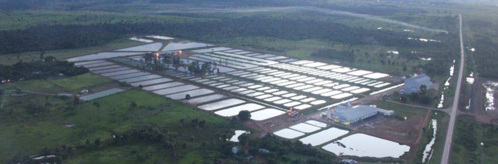 >IBGE e Embrapa firmam acordo que aprimora estatísticas na aquicultura IBGE e Embrapa firmam acordo que aprimora estatísticas na aquicultura