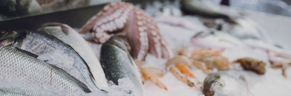 Devemos nos preocupar com a presença de arsênio no pescado? – Pt. 03