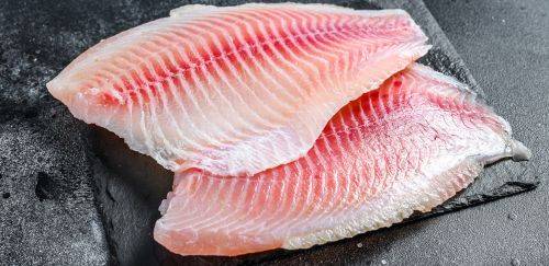 Pesquisa inédita cria protocolos de certificação do filé de tilápia Pesquisa inédita cria protocolos de certificação do filé de tilápia