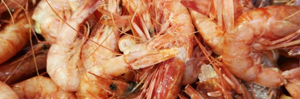 Argentina certifica 1ª exportação de camarão ao Brasil após reabertura