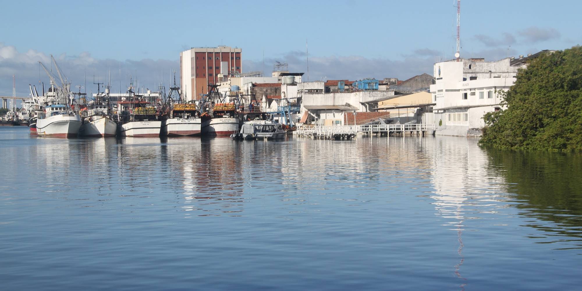 Nordeste, o destinatário do pescado futuro Nordeste, o destinatário do pescado futuro