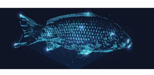 Superlive do pescado reunirá executivos, jornalistas e chefs do setor