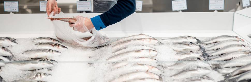 >O que impacta os produtos de pescado de nicho no mercado nacional O que impacta os produtos de pescado de nicho no mercado nacional