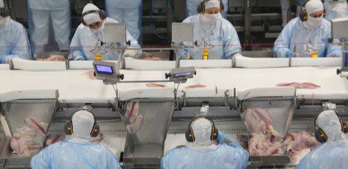 MAPA propõe flexibilização para inovação em aditivos e coadjuvantes