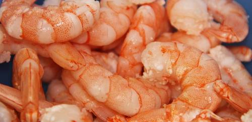 PPM 2020: Carcinicultura em crescimento pelo terceiro ano consecutivo