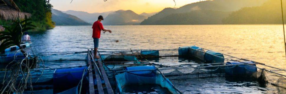 Pesquisadores defendem aquicultura para combater mudanças climáticas