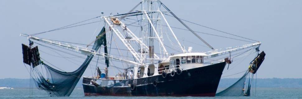 De sonares a softwares: a tecnologia a bordo das embarcações nacionais