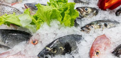 Quaresma e Semana Santa abrem alas para a recuperação Quaresma e Semana Santa abrem alas para a recuperação