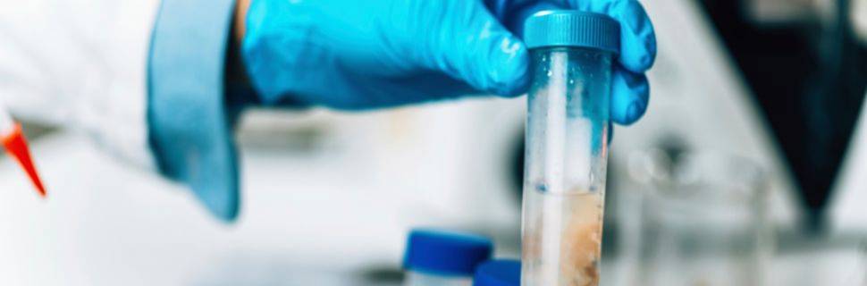 >A transformação azul pela ótica da pesquisa A transformação azul pela ótica da pesquisa