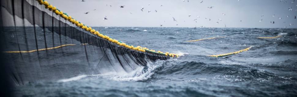  Panorama de produção e consumo de pescado no Estado do Rio de Janeiro