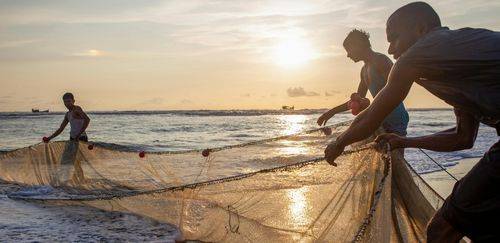 Implementação do Selo da Pesca Artesanal do Brasil ganha novos avanços