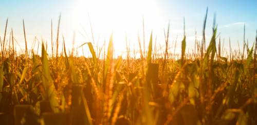 Plano Safra 23/24: Mais de R$ 208,5 bi para pescadores e aquicultores