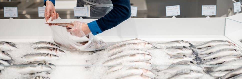 >FAO revela fraudes globais em pescado e tecnologias para combate FAO revela fraudes globais em pescado e tecnologias para combate