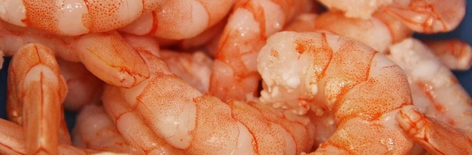 >Contagem regressiva para fim da ARI de camarões não viáveis Contagem regressiva para fim da ARI de camarões não viáveis