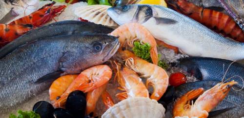 Estudo mostra que saúde é o principal fator na hora de comprar pescado