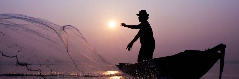 Governo de São Paulo lança ações de incentivo ao setor de pescado