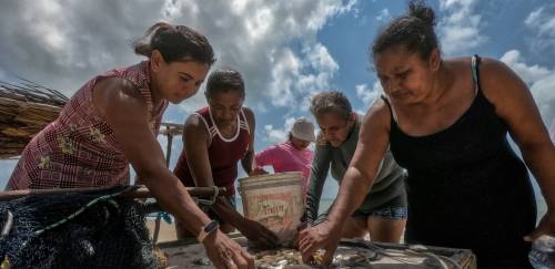Alimentos azuis: oportunidade de melhoria com menos impacto ambiental Alimentos azuis: oportunidade de melhoria com menos impacto ambiental