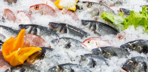 Pescado mantém preços sob controle e fecha 2025 abaixo da inflação