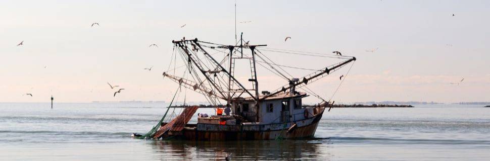 Maturidade tecnológica e o futuro da indústria do pescado para 2025