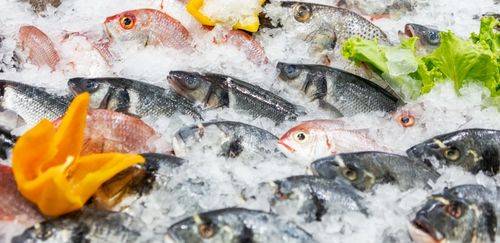 MPA e MAPA oficializam Nota Fiscal como documento de origem